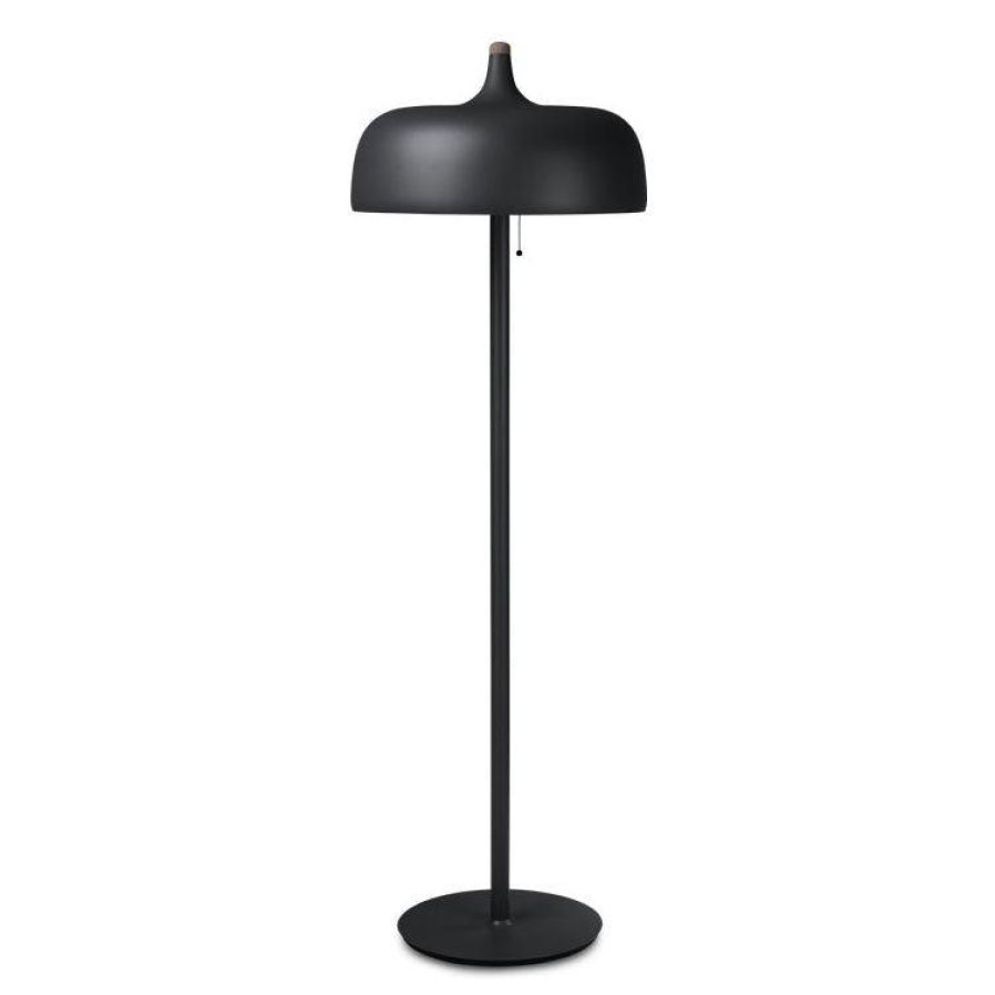 Northern Acorn Floor Lamp Clearance