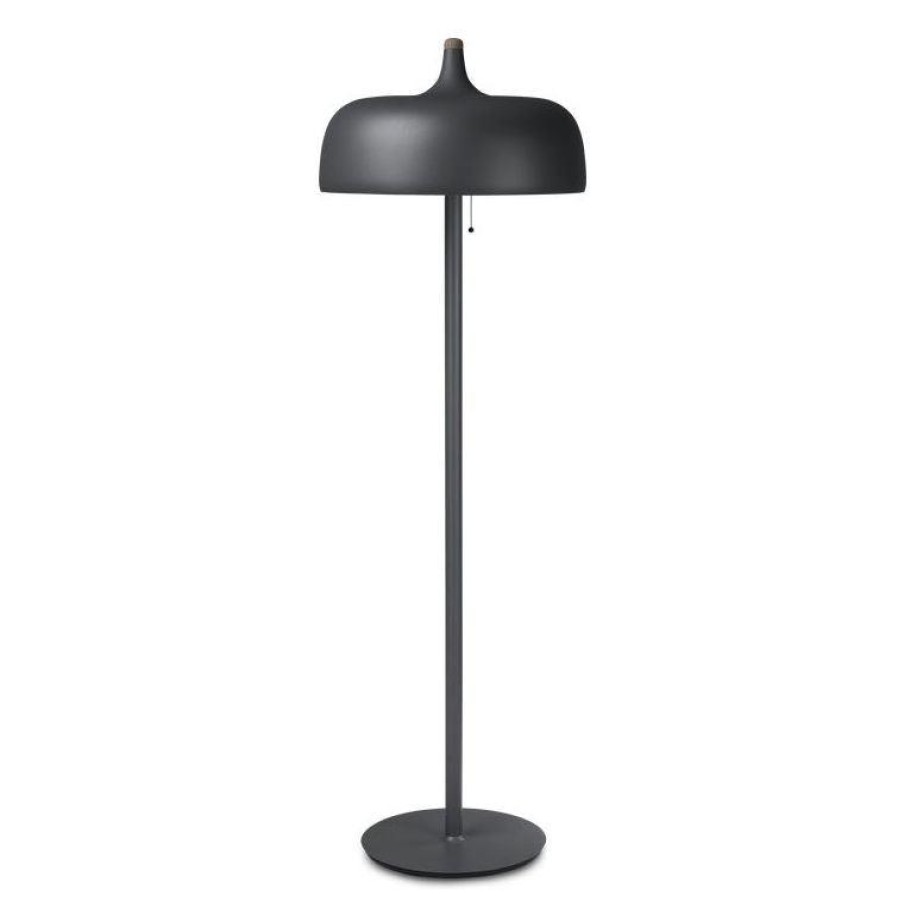 Northern Acorn Floor Lamp Clearance