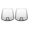 Normann Copenhagen Whiskey Set Of 2 Glass Clearance