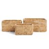 dBodhi Dbodhi Caterpillar Ambang Rectangular Basket - Set Of 3 Natural Hot