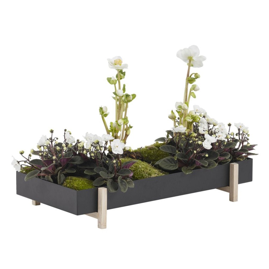 Design House Stockholm Botanic Tray Black/Ash Hot