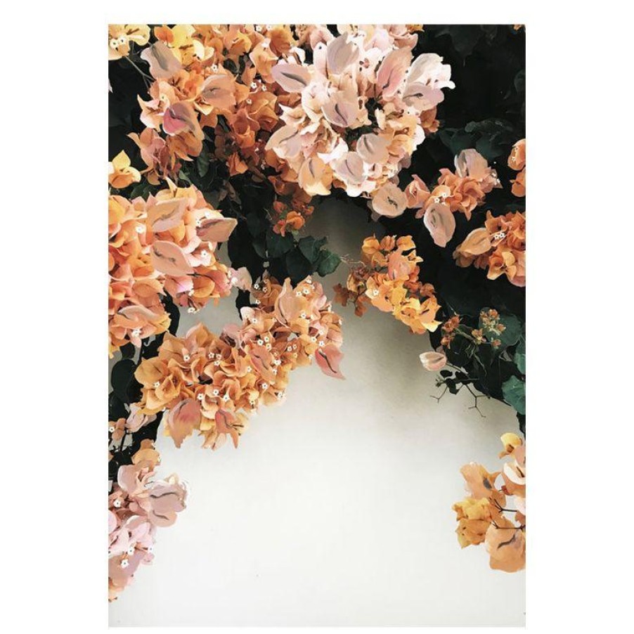 Hawtrey Bougainvillea Print Hot