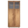 dBodhi Dbodhi Motion Cabinet - 2 Textured Glass Doors Teak Hot