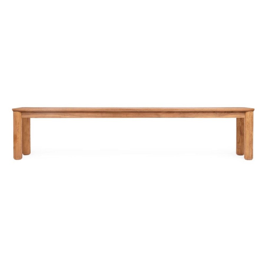 dBodhi Dbodhi Dino Bench Online