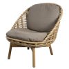 Caneline Hive Lounge Chair Wholesale