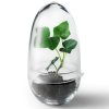 Design House Stockholm Grow Small Greenhouse Clear Online