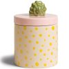 Klevering Shell Jar Pink New